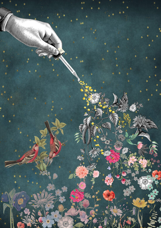 Les fleurs de Bach 1