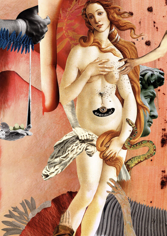 La naissance de venus