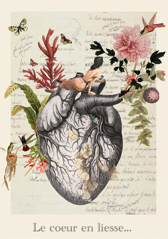 Le coeur en liesse.